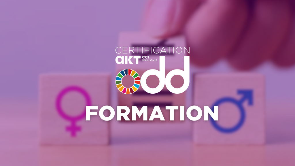 Formation : Égalité Femmes-Hommes, comment en faire un moteur de performance et d’engagement ?